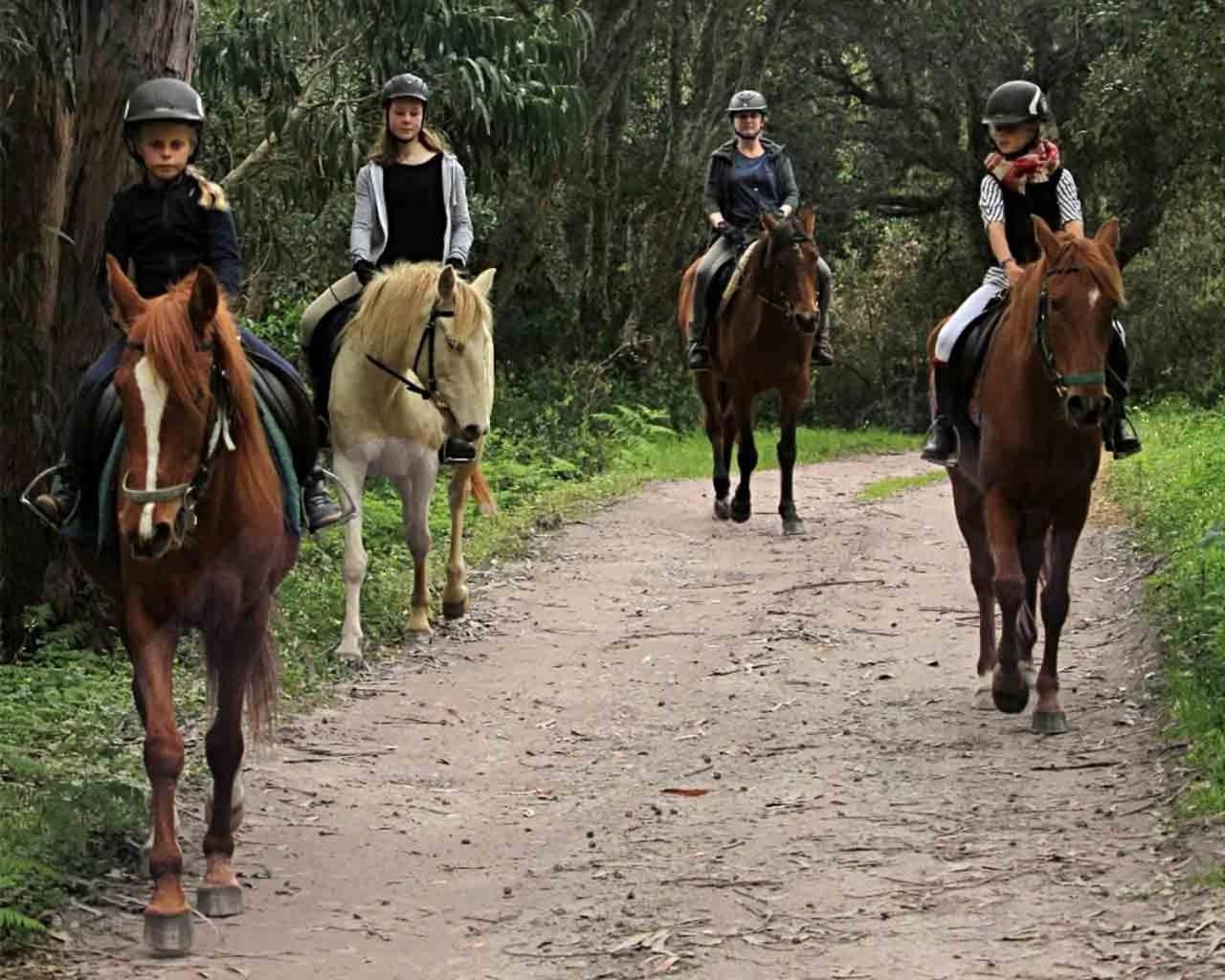 Quinta Pedagogica Da Samoqueirinha - Duna Parque Resorts & Hotels Vila Nova de Milfontes Bagian luar foto